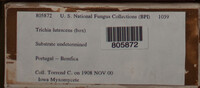 Image Associated With the Occurence